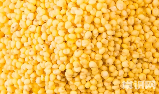黄米的功效与作用及营养价值