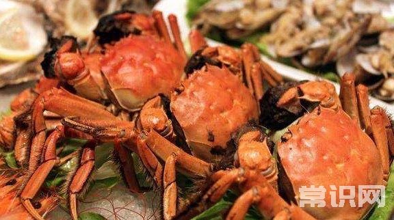 吃螃蟹几月份吃最好
