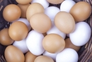 鸡蛋的营养价值及功效与作用介绍