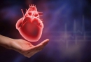 心血管疾病包括哪些病