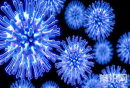 甲型流感病毒：传染和预防措施