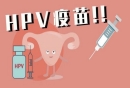 hpv疫苗打了多久不能怀孕介绍
